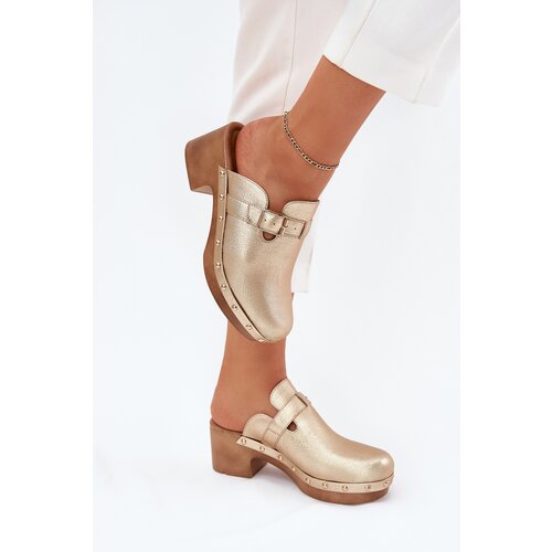 Boto Women's Heeled Sandals With Buckle Gold Veldexina Cene