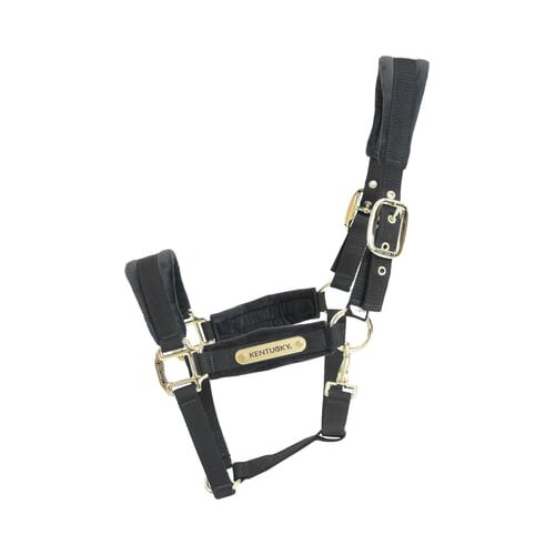 Kentucky Horsewear Oglavka Velvet, črna - Cob Cene