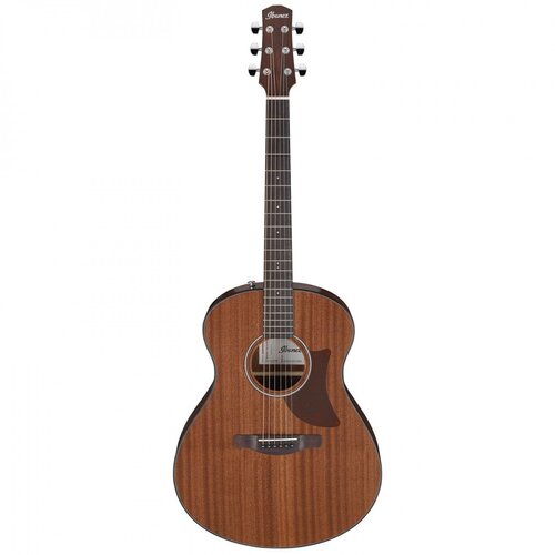 Ibanez Akustična gitara AAM54-OPN, Open Pore Natural Cene
