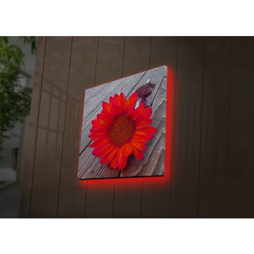 Wallity Slika sa LED osvetljenjem 4040DACT-50, 40x40 cm Cene