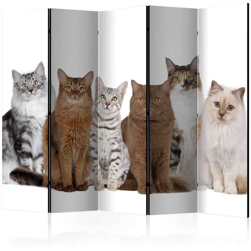  Paravan u 5 dijelova - Sweet Cats II [Room Dividers] 225x172 Cijene