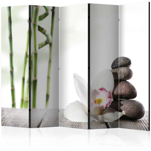  Paravan u 5 dijelova - Harmony II [Room Dividers] 225x172 Cijene