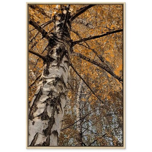 Slika - Autumn Colours (1 Part) Vertical 60x90 Cijene