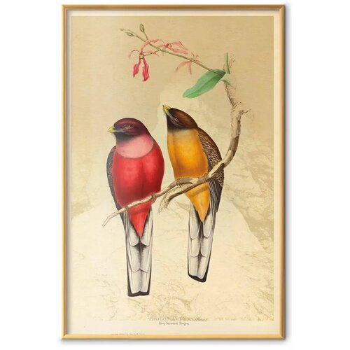  Plakat - Birds on a Branch 60x90 Zlatni okvir Slike