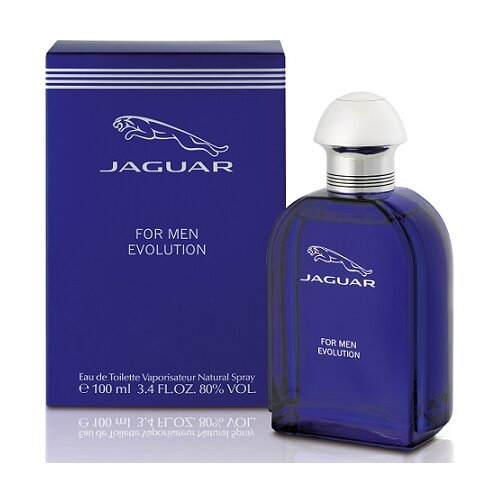 Jaguar Muška toaletna voda Evolution 100ml edt Cene