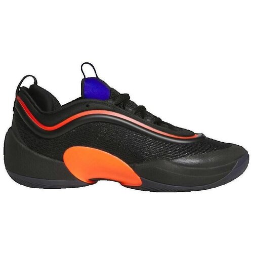 Adidas Ko&scaron;arka Chaussures de Basketball D.O.N. ISSUE 6 Črna Cene