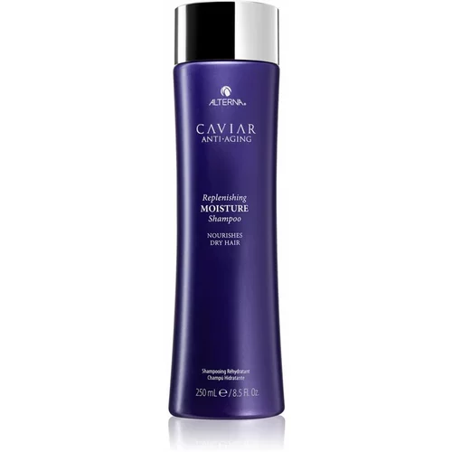 Alterna Caviar Anti-Aging Replenishing Moisture vlažilni šampon za suhe lase 250 ml