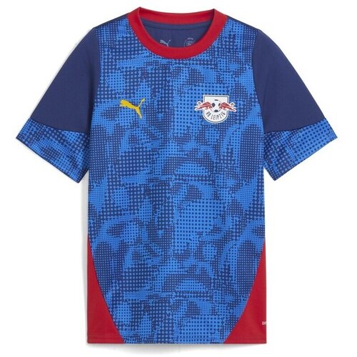 Puma Majice s kratkimi rokavi Rbl pisana Slike