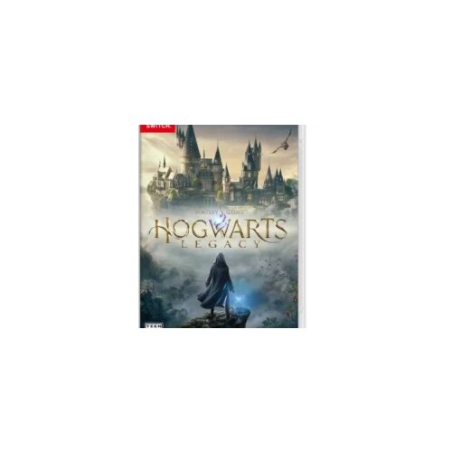  Hogwarts Legacy /Switch Cene
