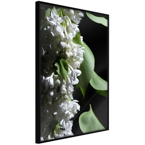  Poster - Fragrant Spring 40x60