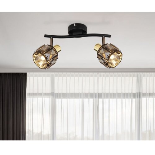 Globo 54357-2B - Stropni spot INDIANA 2xE14/40W/230V Slike