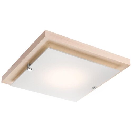  LED plafonska svetiljka LED/12W/230V bukva Cene