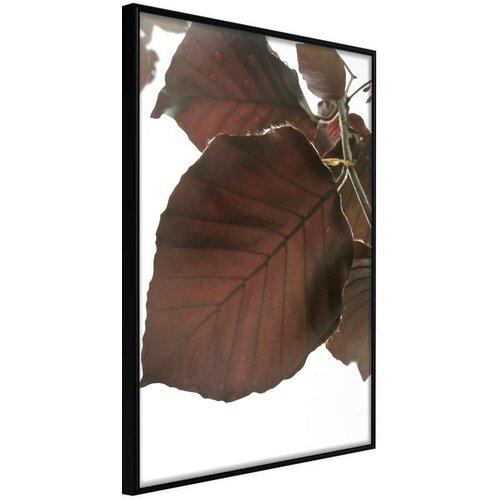  Poster - Burgundy Tilia Leaf 20x30 Cijene