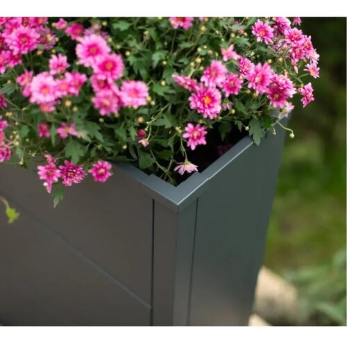 WESTMANN Talus XL | Metalna pravokutna žardinjera | 193 L | Antracit - BRANDED IN GERMANY Slike