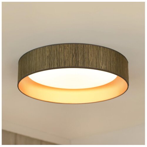  Brilagi - LED plafonsko svetlo BOSTON ROLLER LED/24W/230V prečnika 45 cm braon/zlatna Cene