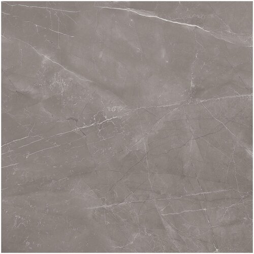 COLORTILE unutarnje podne pločice armani gris 60x60 cm, 1. klasa, 1,44 m2 Cene