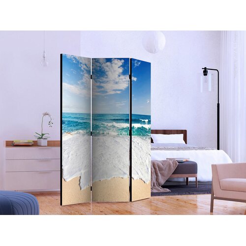 Artgeist PARAVAN 135/172/3 cm bela, svetlo modra Slike