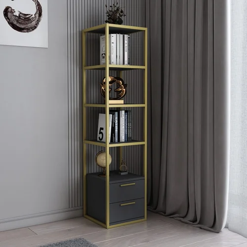 Hanah home Robbins - Gold, Anthracite knjižna omara, (20866774)