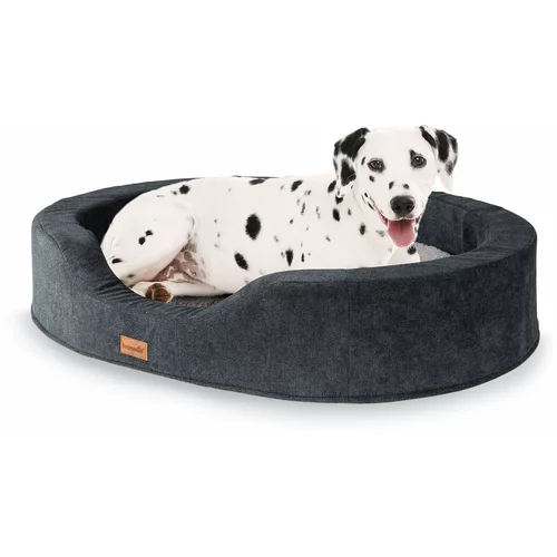 brunolie Lotte, krevet za psa, jastuk za psa, perivi, ortopedski, protuklizni, prozračni, memorijska pjena, veličina L (100 x 20 x 80 cm)