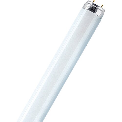 Osram Fluorescenčna sijalka (T8, nevtralno bela, 36 W, dolžina: 120 cm, energetski razred: G) Cene