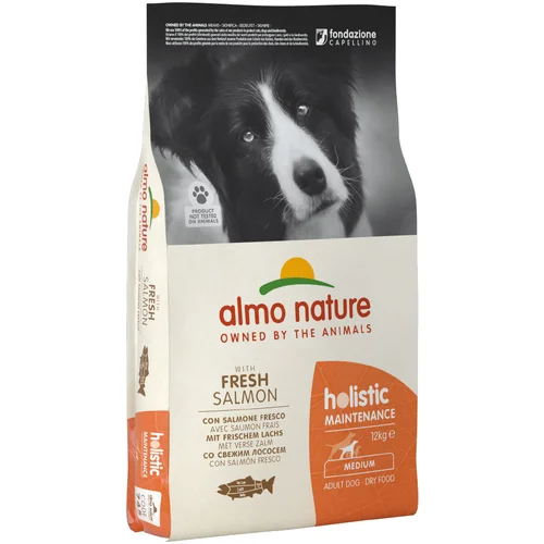 Almo Nature Holistic Adult losos i riža Medium - 2 x 12 kg