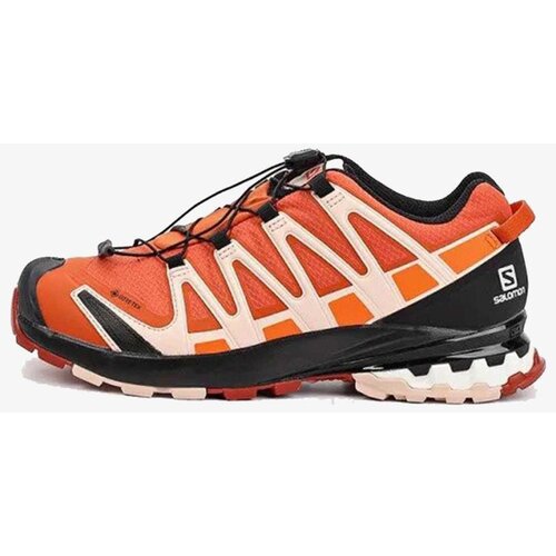 Salomon muške patike xa pro 3D v8 gtx w L41442700 Slike