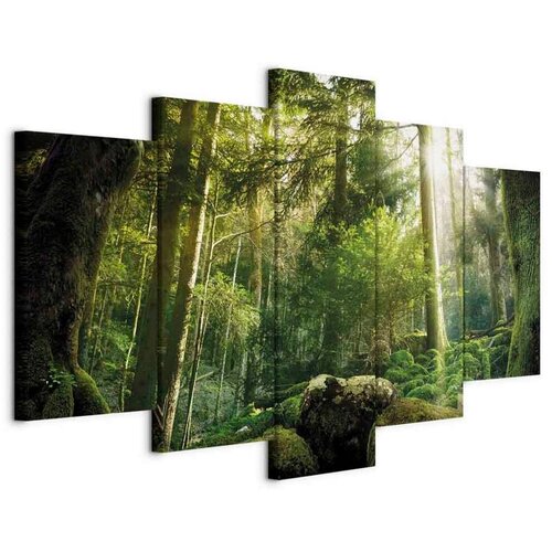 Artgeist Slika Na Platnu The Beauty Of The Forest Cene