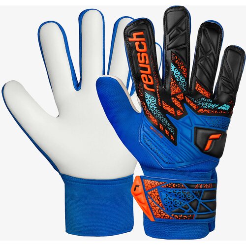 Reusch Attrakt Starter Junior otro&scaron;ke vratarske rokavice Cene