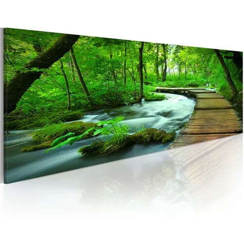  Slika - Forest broadwalk 135x45