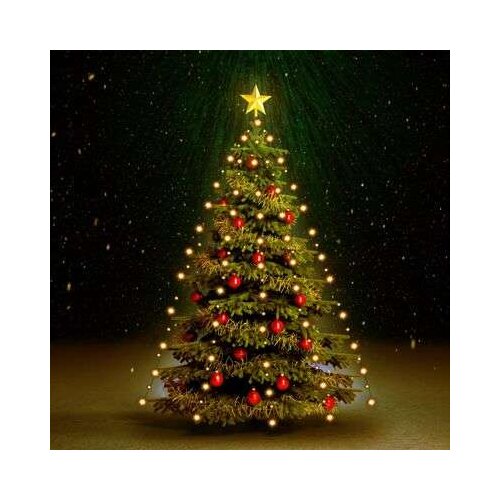  Mrežasta rasvjeta za božićno drvce s 210 LED žarulja 210 cm Cijene