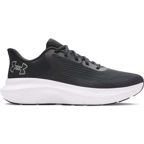 Under Armour Men&amp;#039;s shoes Charged Rogue 5 Slike