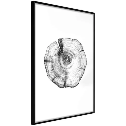  Poster - Tree Rings 40x60