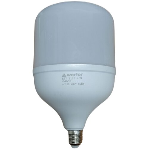 LED E-27 40W T120 6400K Slike