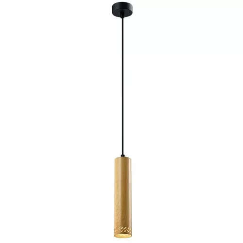 Candellux Lighting Viseča svetilka s kovinskim senčnikom v črni in zlati barvi ø 7 cm Tubo - Candellux Lighting