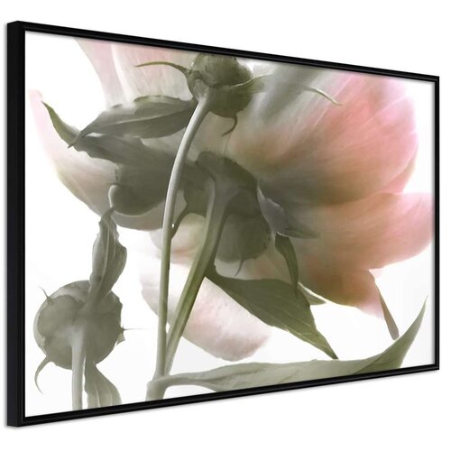 Poster - Under the Flower 60x40 Slike
