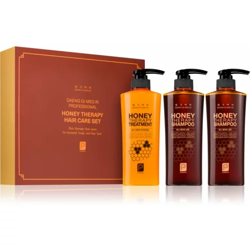 DAENG GI MEO RI Honey Therapy Professional Hair Care Set poklon set (za ishranu i hidrataciju)