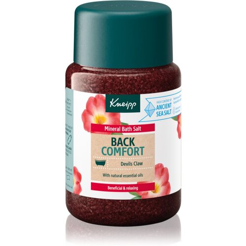 Kneipp Back Comfort sol za kopel 500 g Cene
