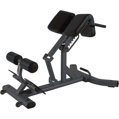  Sprava Toorx Back extension WBX 2600 Cijene