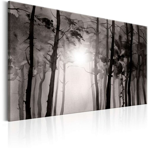  Slika - Foggy Forest 90x60 Slike