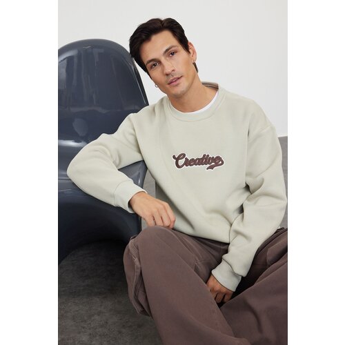 Trendyol Stone Oversize/Wide Cut Text Embroidered Crew Neck Sweatshirt Slike