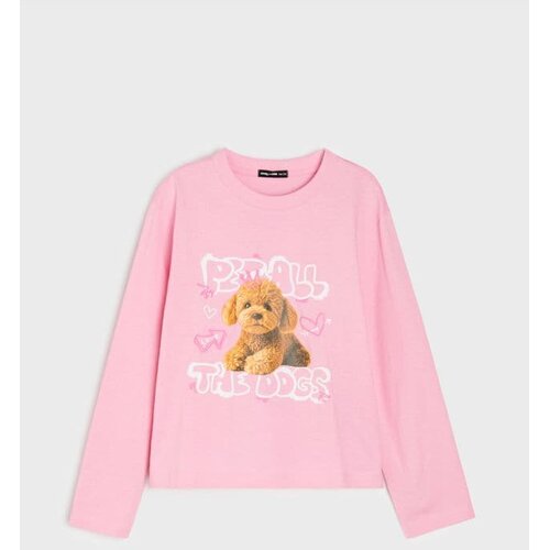 Sinsay Pamučna majica dugih rukava s Maltipoo printom Cijene