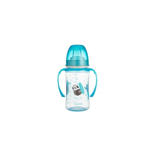 Canpol Babies šolja sa drškama koje svetle u mraku 6M+ "Exotic Animals" - 240Ml - Blue Cene