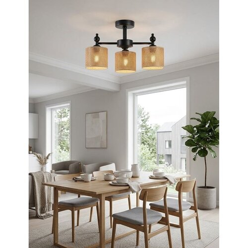 Opviq luster Neptun 3 Wicker, 3 &times; E27, crni Cene