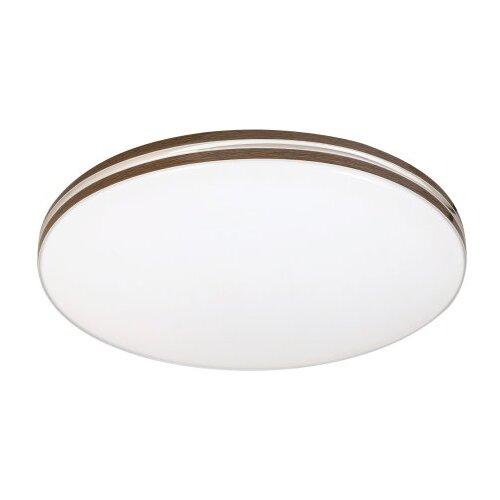 Rabalux Oscar2 plafonjera ( 71173 ) Cene