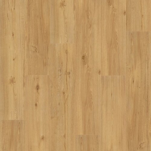 Parador vinilna talna obloga basic 5.3 hrast natur Cene