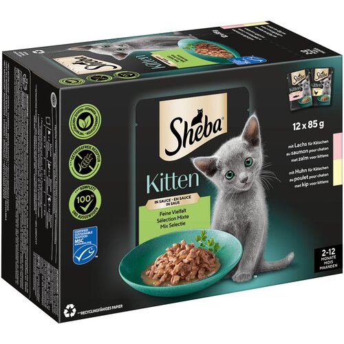 Sheba Kitten Varietäten vrečke za ohranjanje svežine 12 x 85 g - Fina raznolikost v omaki (losos; piščanec) Cene