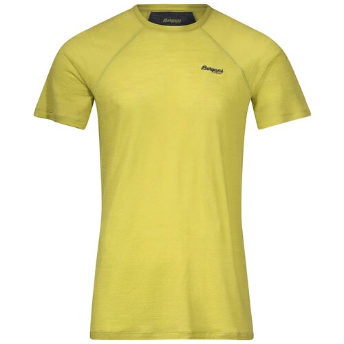 Bergans Men&amp;#039;s T-shirt Floyen Wool Tee Green Slike