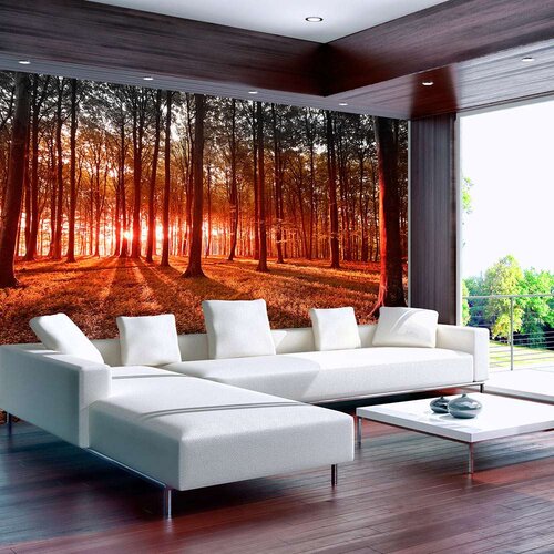 Samoljepljiva foto tapeta - Autumn: morning in the forest 196x140 Cijene