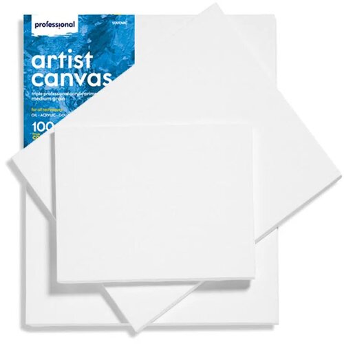 Professional canvas, blind ram - odaberite dimenziju 40 x 50cm Cene