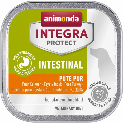 Animonda Integra Protect Intestinal - zdjelice puretina - 24 x 150 g